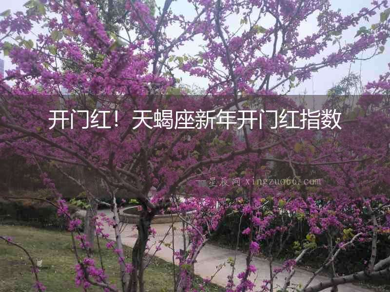 開門紅！天蝎座新年開門紅指數