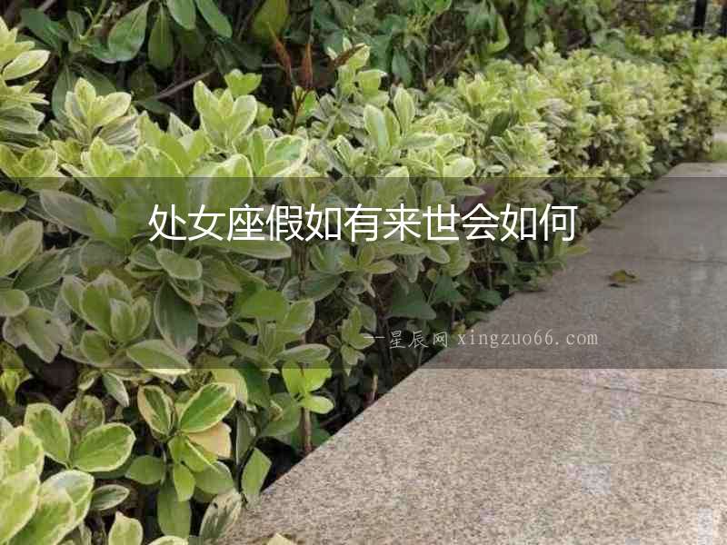 處女座假如有來世會如何