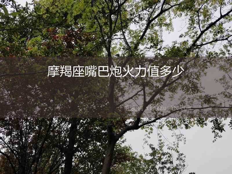摩羯座嘴巴炮火力值多少