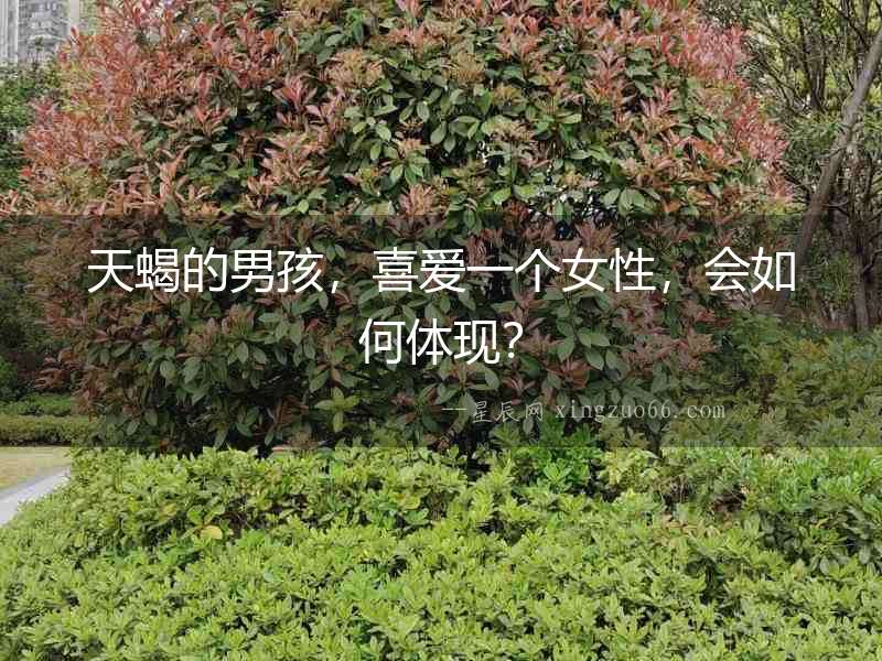 天蝎的男孩，喜愛一個女性，會如何體現？