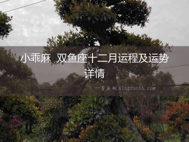 小乖麻  雙魚座十二月運程及運勢詳情