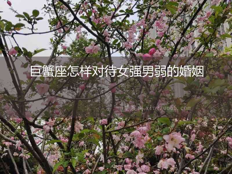 巨蟹座怎樣對(duì)待女強(qiáng)男弱的婚姻