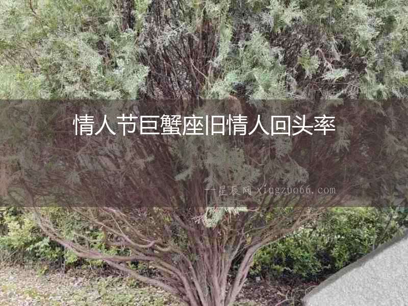 情人節巨蟹座舊情人回頭率
