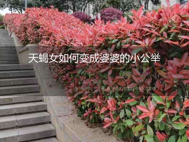 天蝎女如何變成婆婆的小公舉