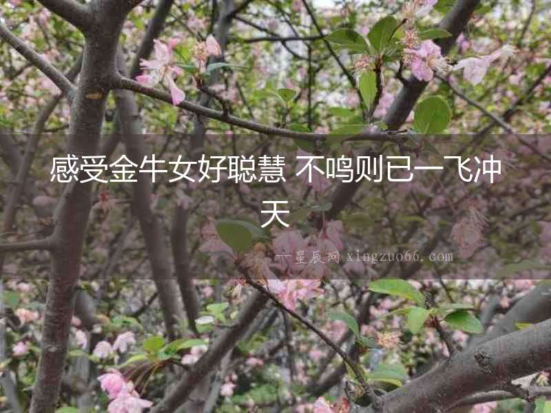 感受金牛女好聰慧 不鳴則已一飛沖天