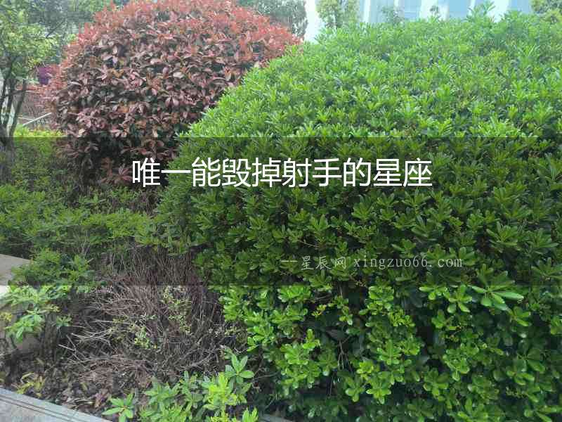 唯一能毀掉射手的星座