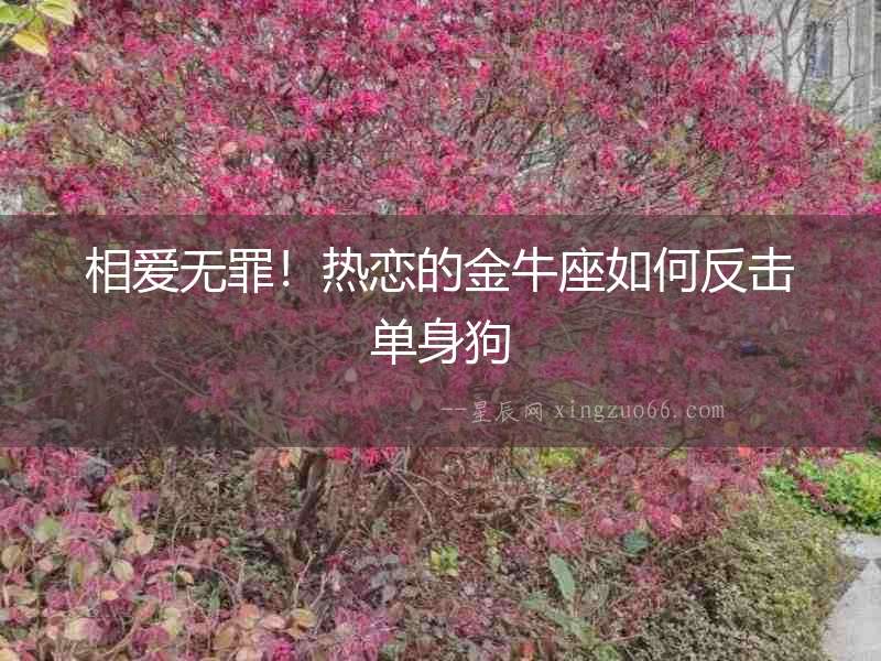 相愛無罪！熱戀的金牛座如何反擊單身狗