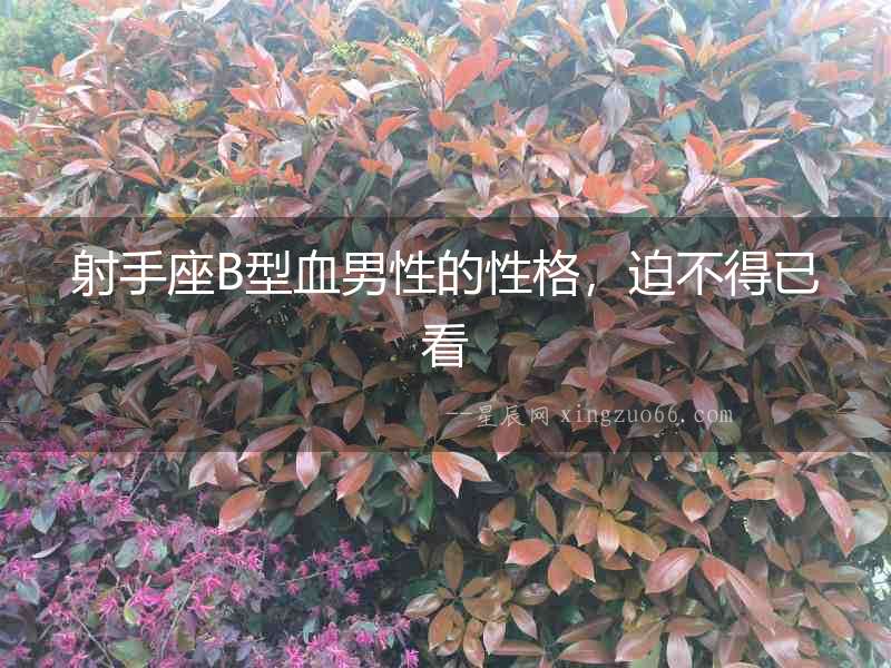 射手座B型血男性的性格，迫不得已看