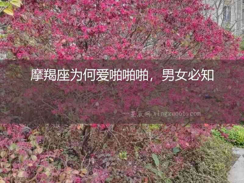 摩羯座為何愛啪啪啪，男女必知