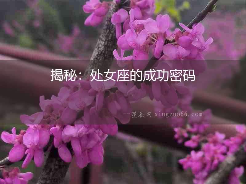 揭秘：處女座的成功密碼