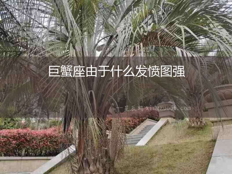 巨蟹座由于什么發憤圖強