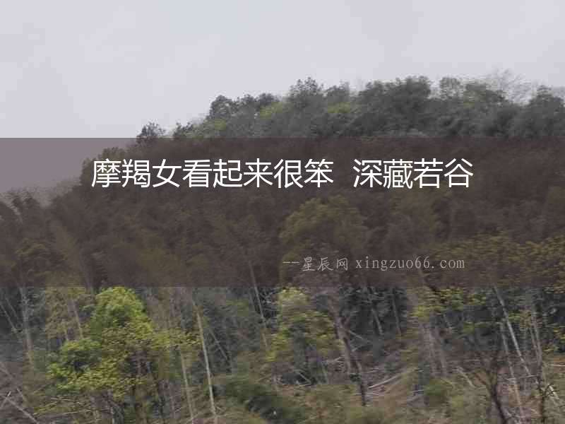 摩羯女看起來很笨  深藏若谷