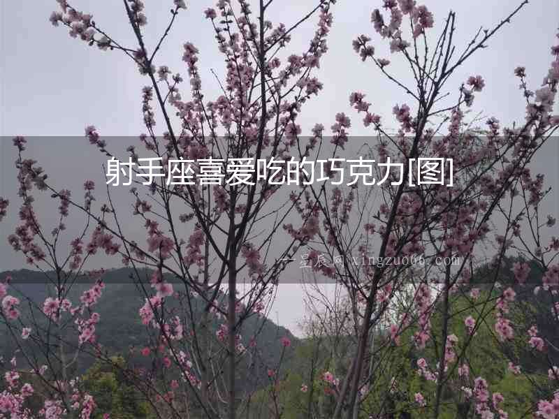 射手座喜愛吃的巧克力[圖]