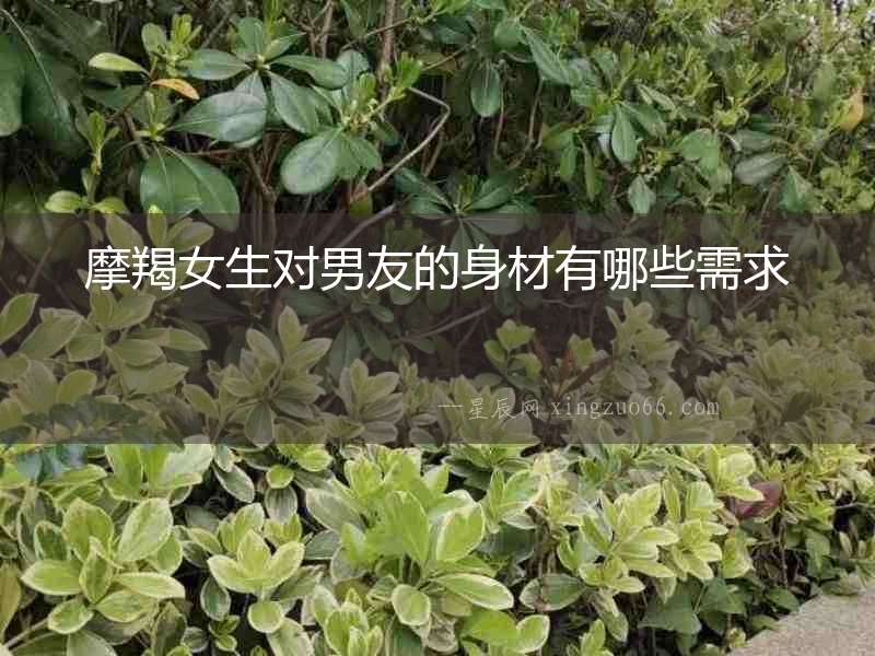 摩羯女生對男友的身材有哪些需求