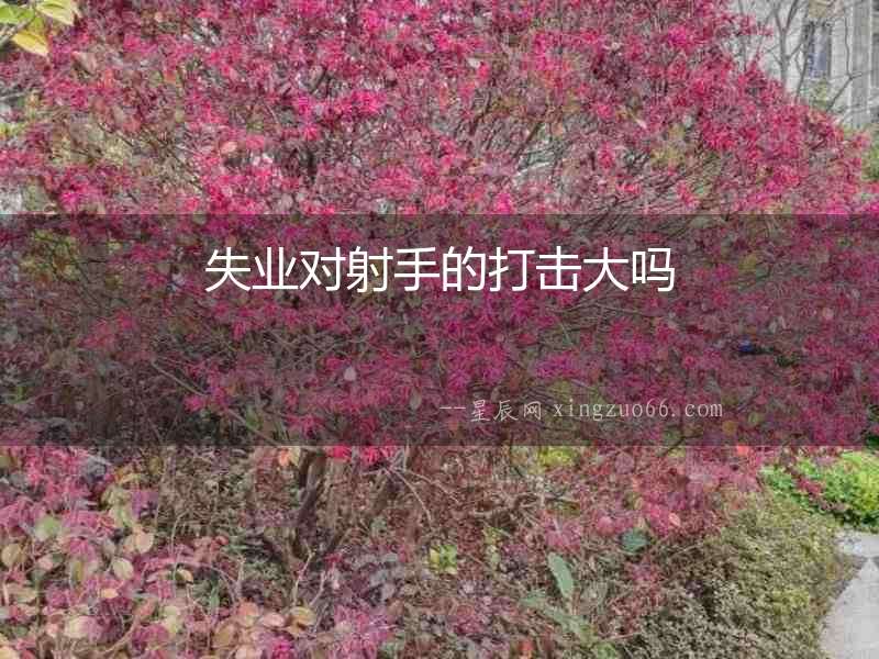 失業對射手的打擊大嗎