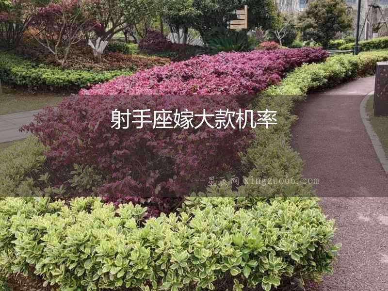 射手座嫁大款機率