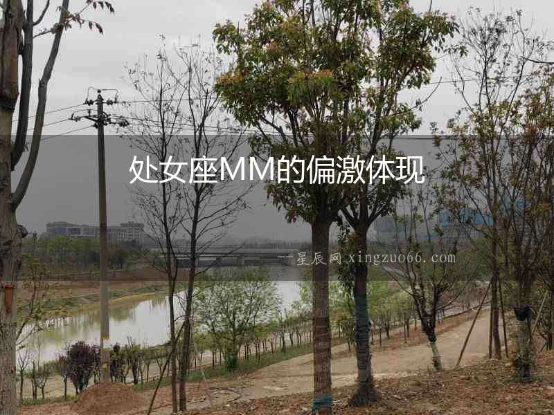 處女座MM的偏激體現(xiàn)