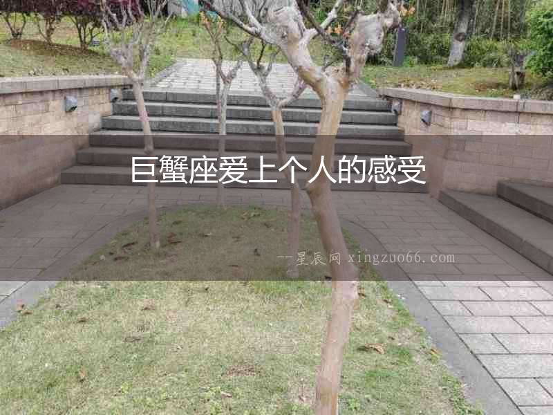 巨蟹座愛上個人的感受