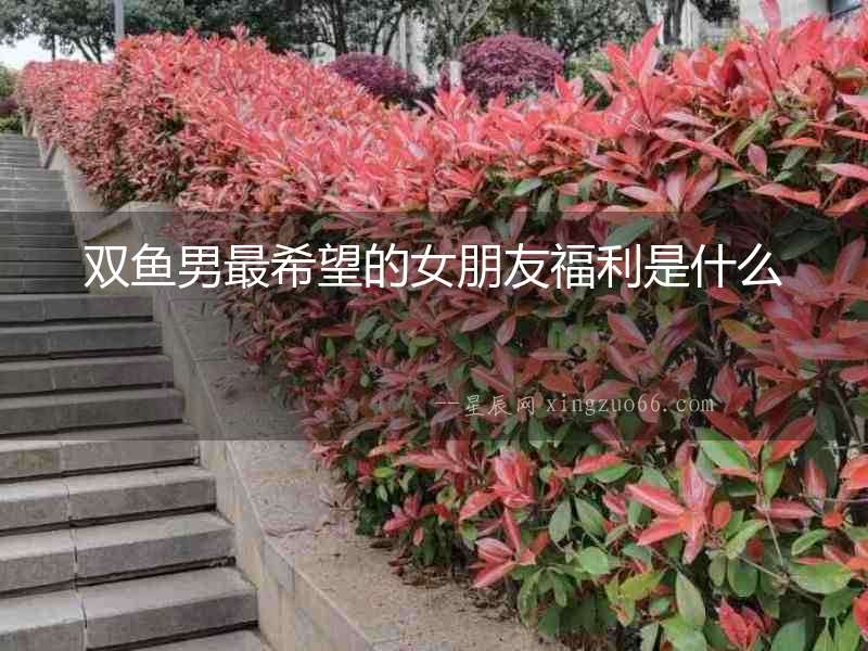 雙魚男最希望的女朋友福利是什么