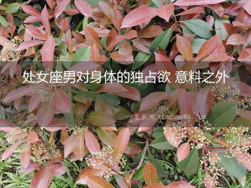 處女座男對身體的獨占欲 意料之外