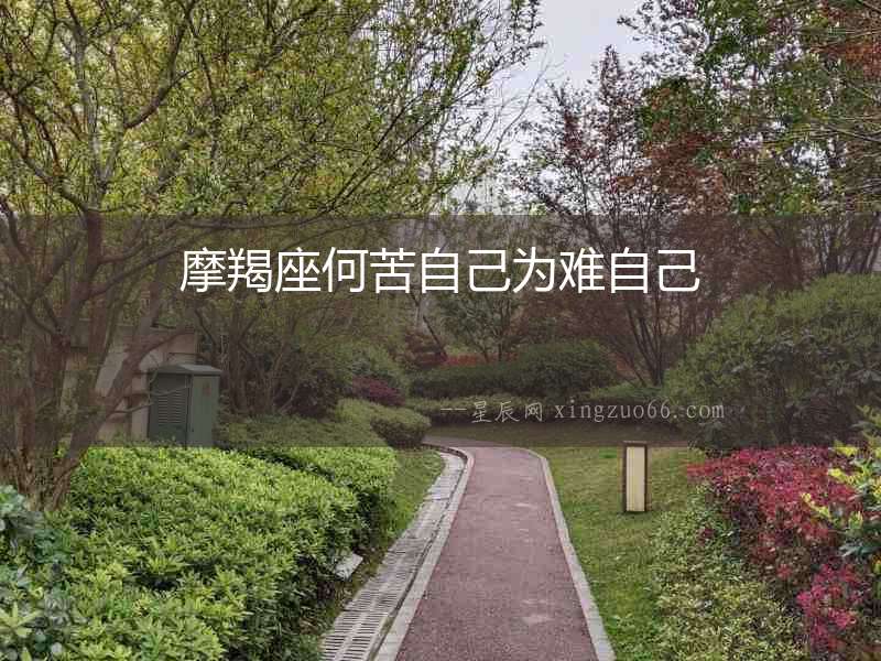 摩羯座何苦自己為難自己