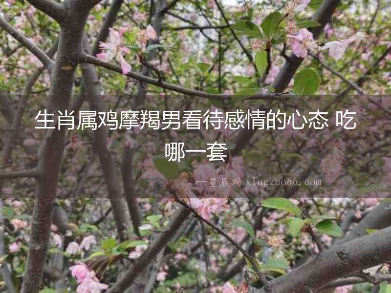 生肖屬雞摩羯男看待感情的心態 吃哪一套