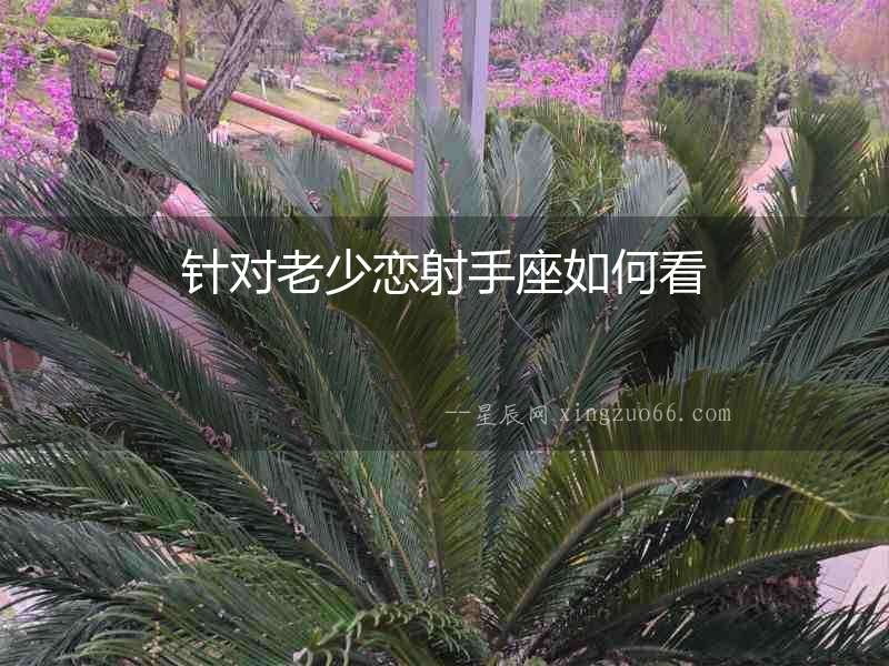 針對老少戀射手座如何看