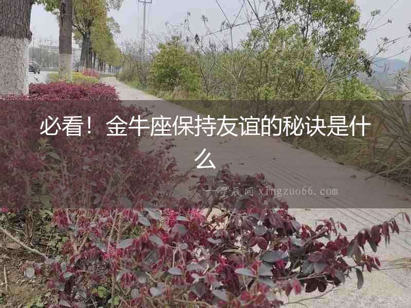 必看！金牛座保持友誼的秘訣是什么