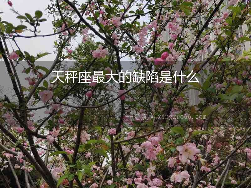 天秤座最大的缺陷是什么