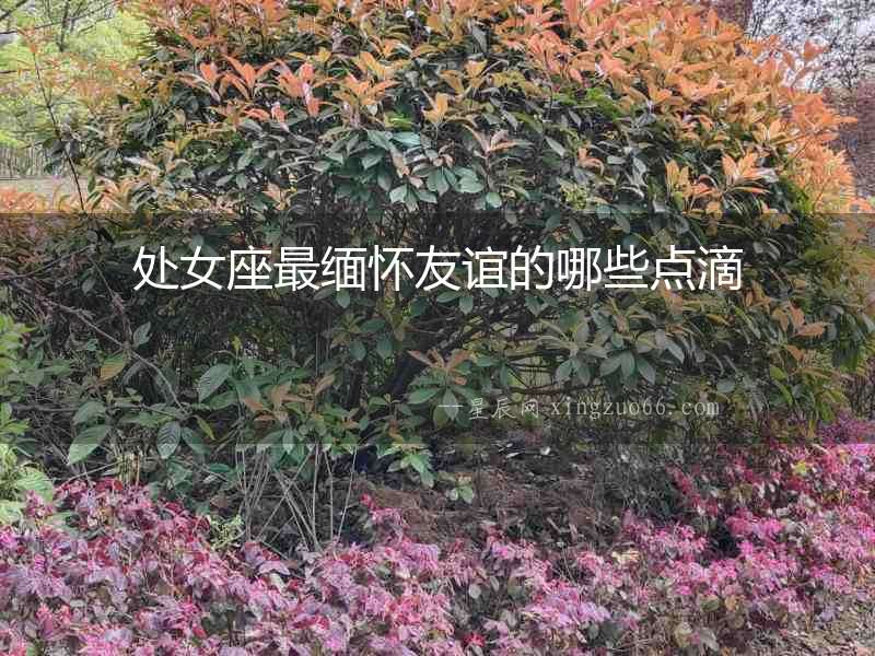 處女座最緬懷友誼的哪些點滴