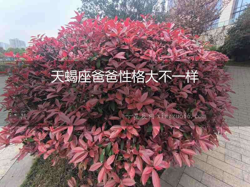 天蝎座爸爸性格大不一樣