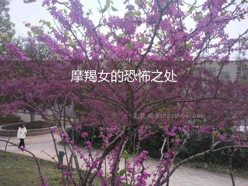 摩羯女的恐怖之處