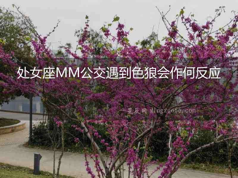 處女座MM公交遇到色狼會作何反應