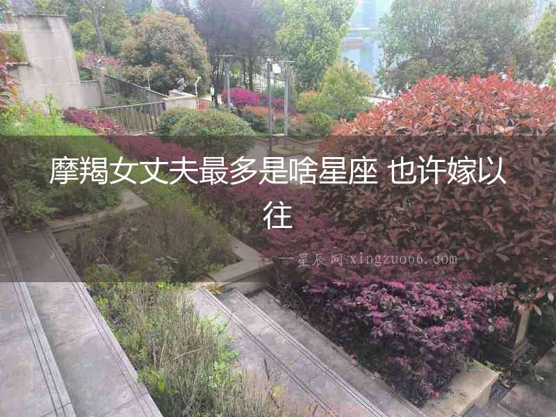 摩羯女丈夫最多是啥星座 也許嫁以往