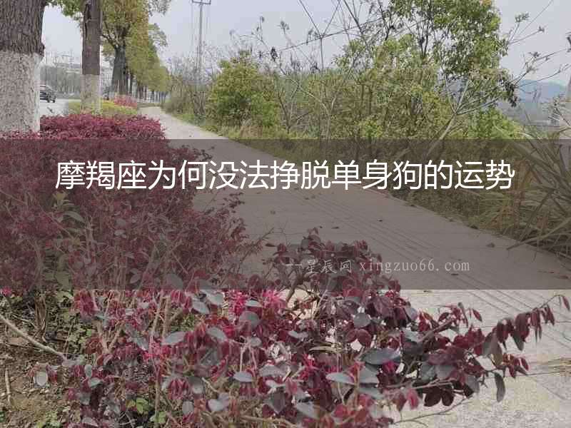 摩羯座為何沒(méi)法掙脫單身狗的運(yùn)勢(shì)