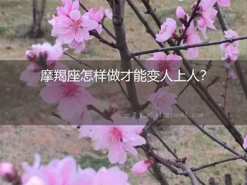 摩羯座怎樣做才能變人上人？