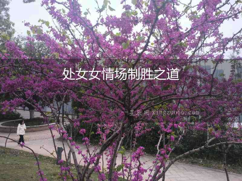 處女女情場制勝之道