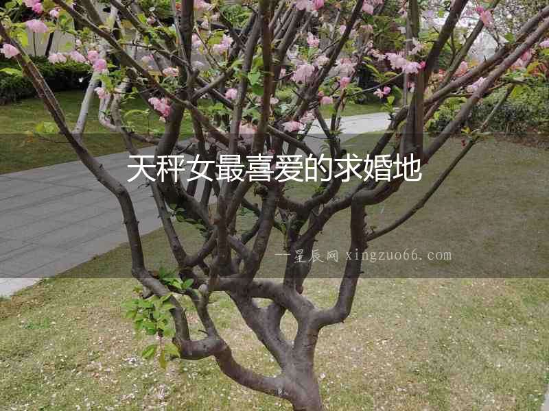 天秤女最喜愛的求婚地