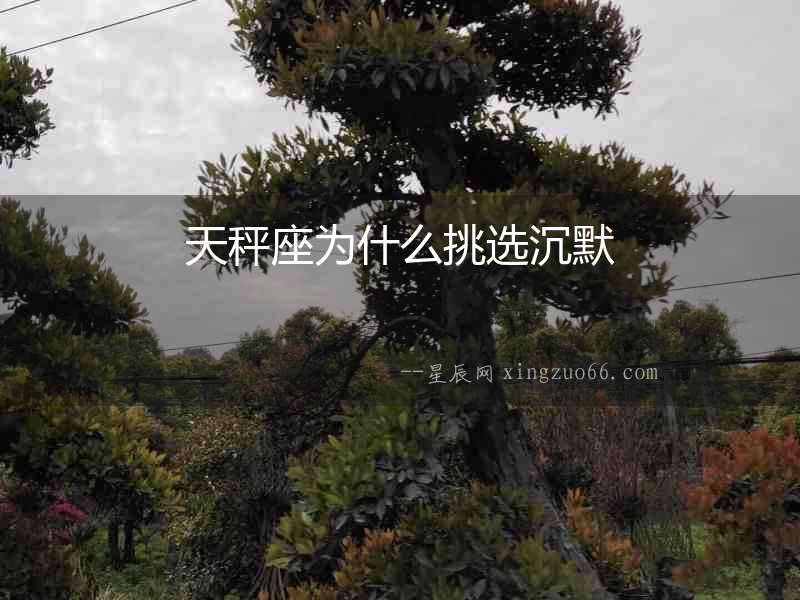 天秤座為什么挑選沉默