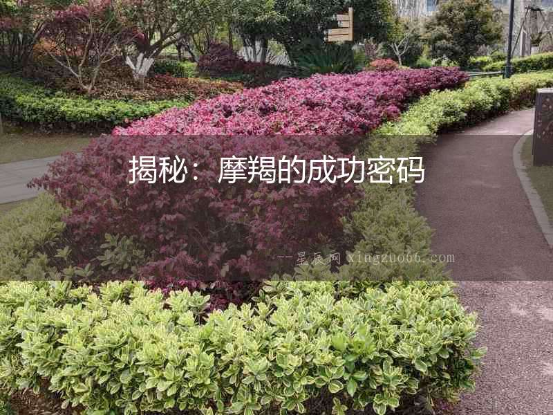 揭秘：摩羯的成功密碼