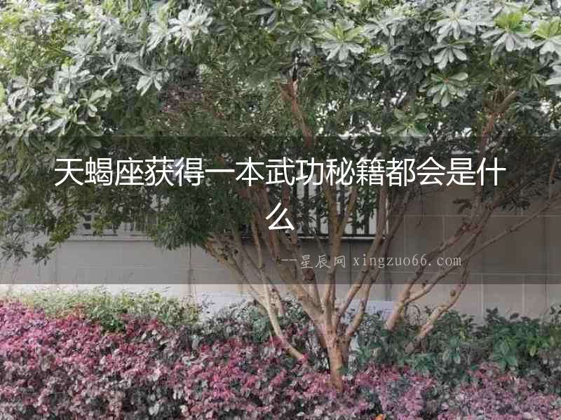 天蝎座獲得一本武功秘籍都會是什么