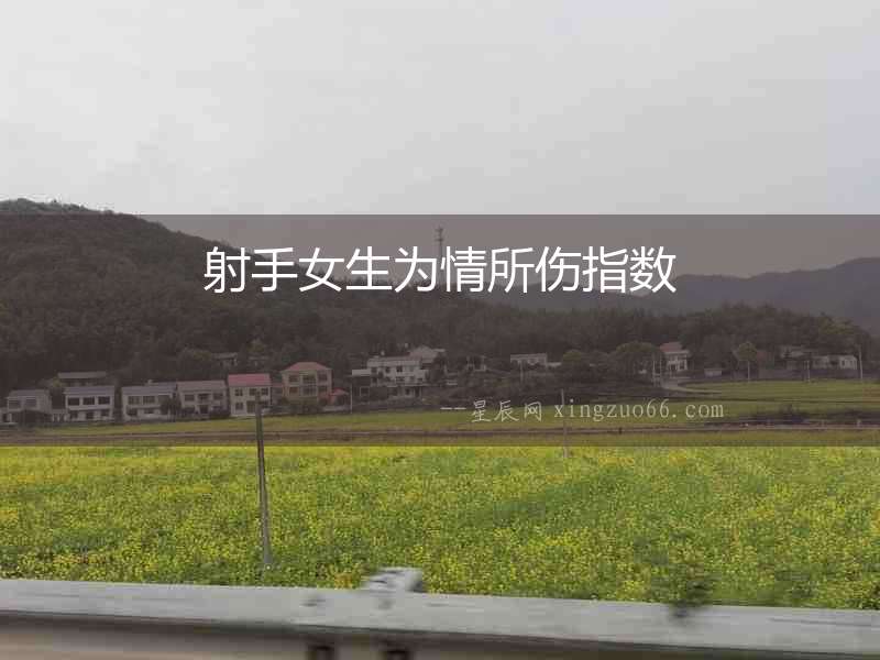 射手女生為情所傷指數