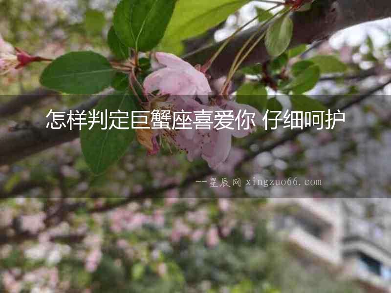 怎樣判定巨蟹座喜愛(ài)你 仔細(xì)呵護(hù)