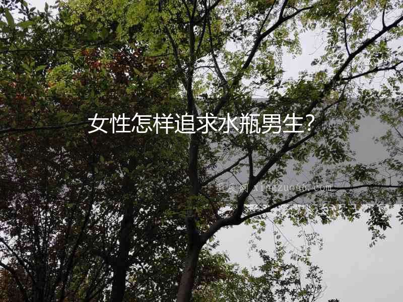 女性怎樣追求水瓶男生？