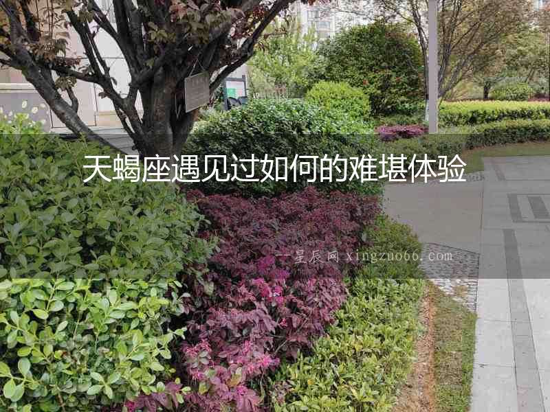 天蝎座遇見過如何的難堪體驗