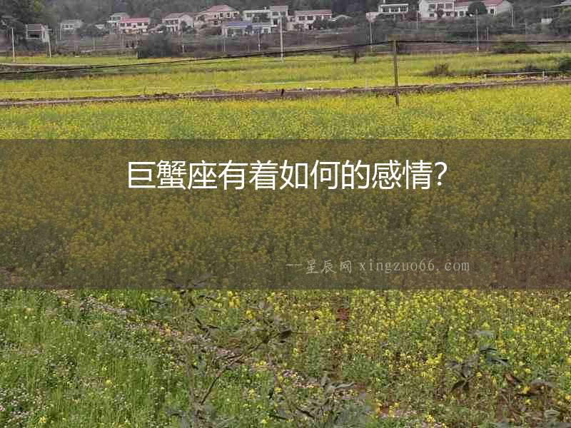 巨蟹座有著如何的感情？