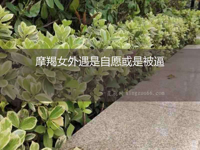 摩羯女外遇是自愿或是被逼