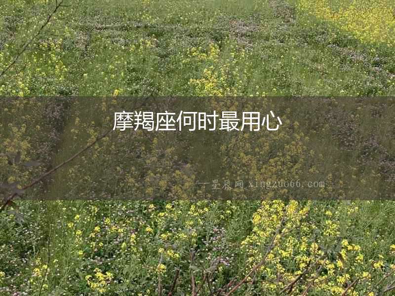 摩羯座何時(shí)最用心