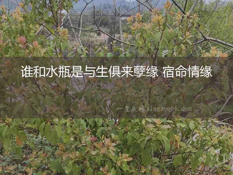 誰(shuí)和水瓶是與生俱來(lái)孽緣 宿命情緣