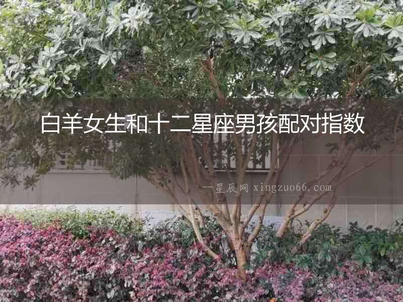 白羊女生和十二星座男孩配對指數(shù)